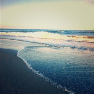 Meet your Posher, Lucy